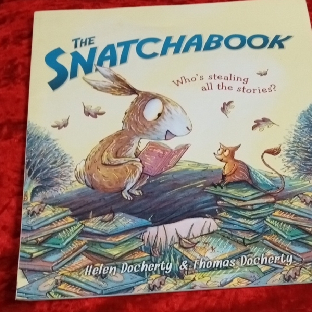 The Snatchabook Children's Book